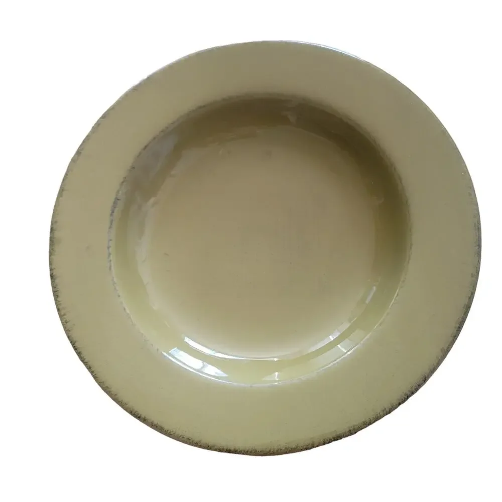 Pier 1 Toscana Palm Green Pasta Bowl Dish Made in Italy Hand Painted Earthenware